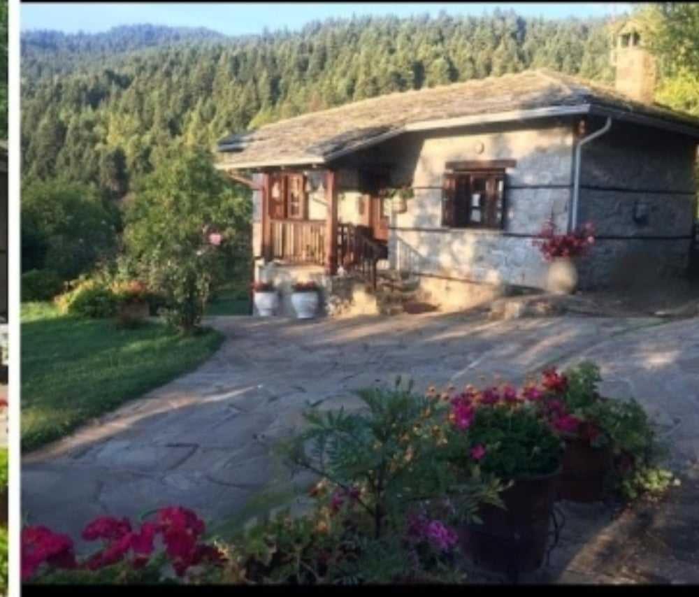 Παραδοσιακή Πέτρινη Κατοικία Στην Βλάχα Ελάτης Exterior photo